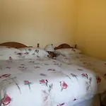 Shamrock House B&B