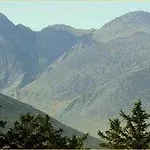 Arbutus Lodge