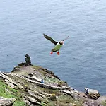 Beachcove Lodge