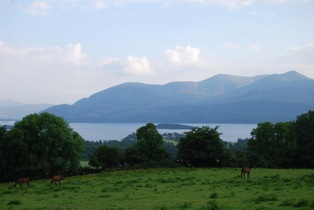Old Holiday home Killarney