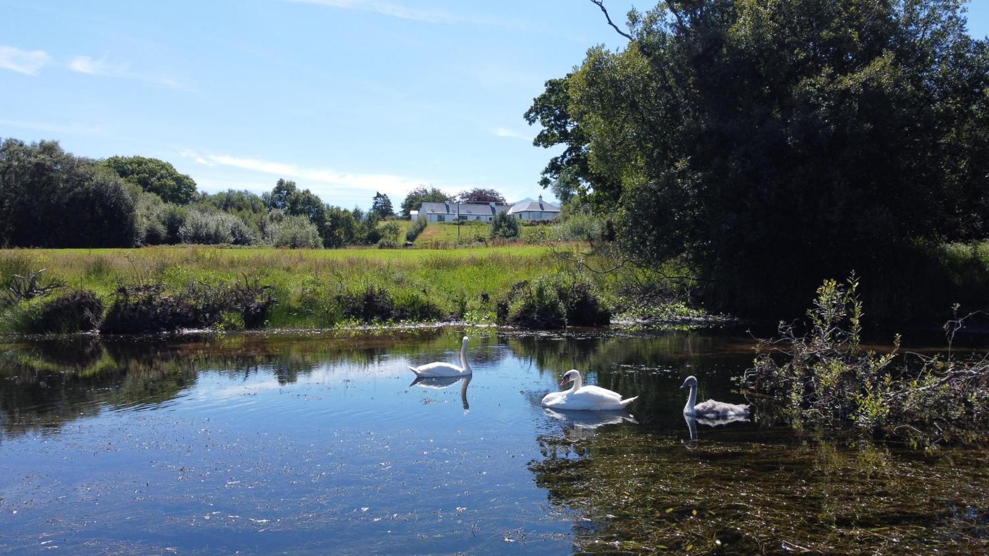 Debbie's At Tullig House & Farm Holiday home Killarney