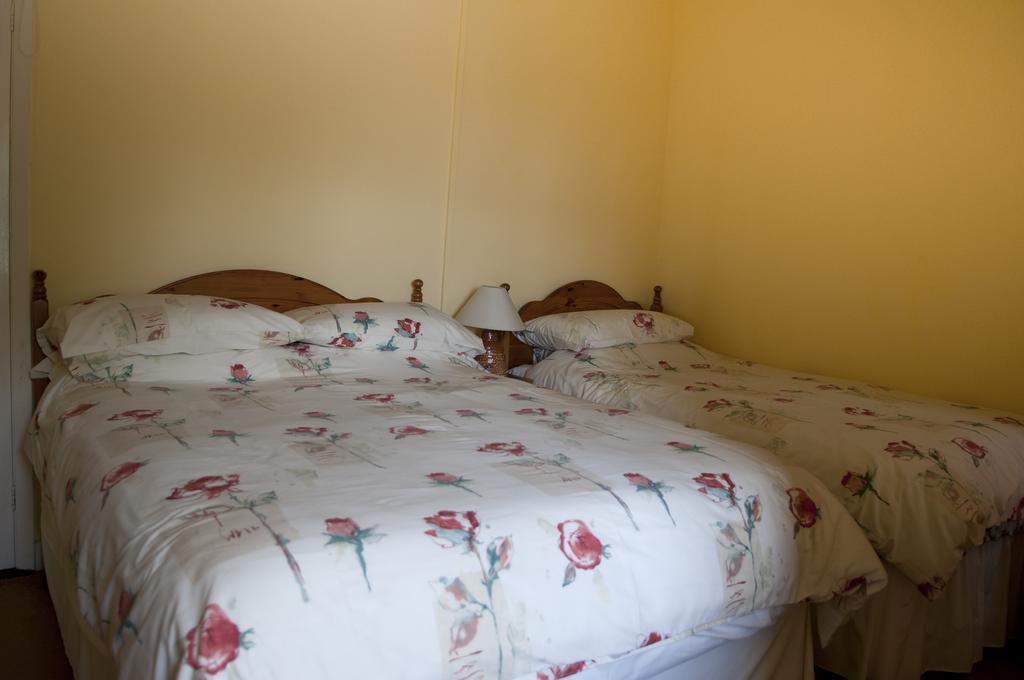 Bed & Breakfast Shamrock House Killarney