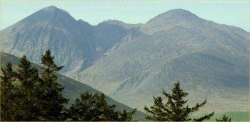 Arbutus Killarney