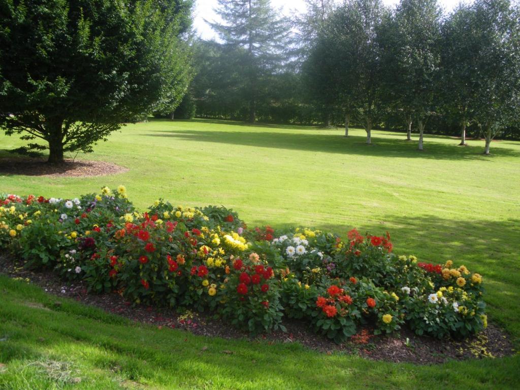 Redwood Bed & Breakfast Killarney