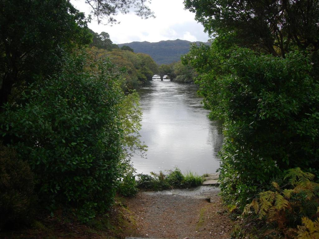 Redwood Bed & Breakfast Killarney