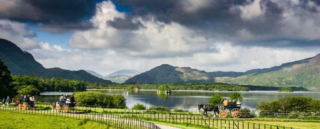 Tatler Jack 3* Killarney