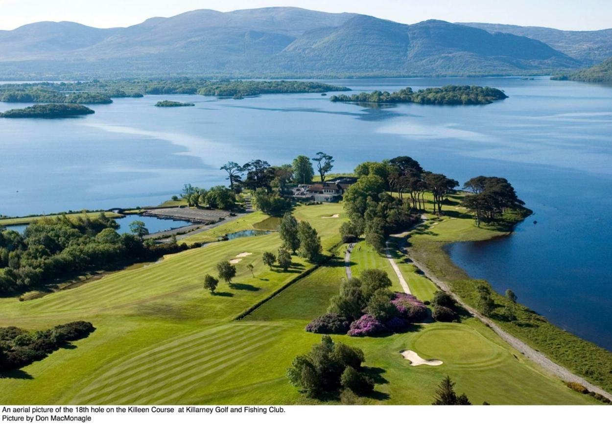 Tatler Jack 3* Killarney