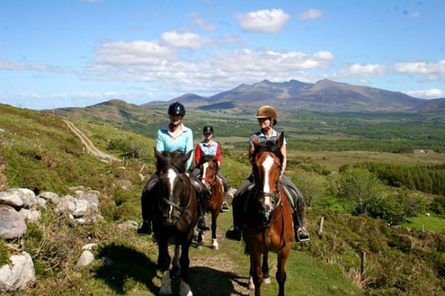 Tatler Jack Bed & Breakfast 3*