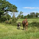 Farmyard Lane Glamping