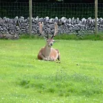 Shepherds Lodge B&B