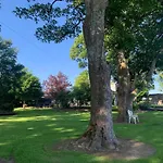 Town View