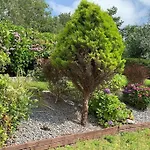 Greenane House