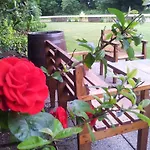 19Th Green Guesthouse