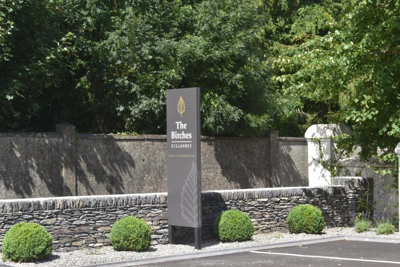 The Birches Guest house Killarney