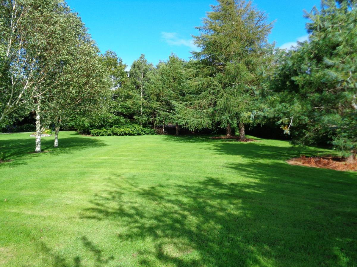 Redwood Killarney