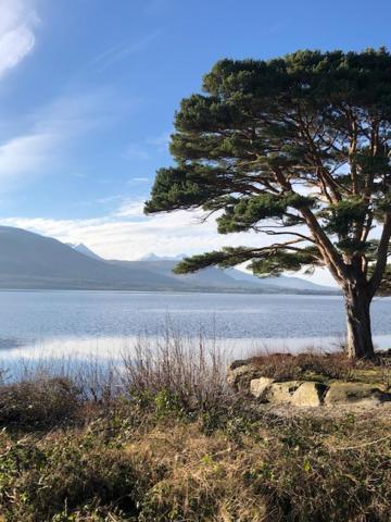 Crystal Springs Bed & Breakfast Killarney