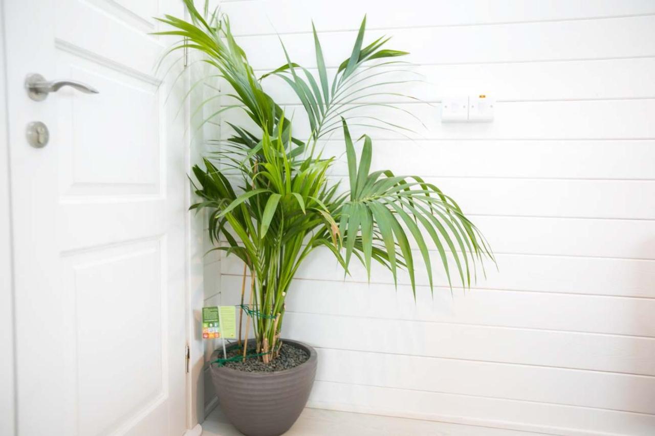 The Paddocks - Stylish, Cozy & Private