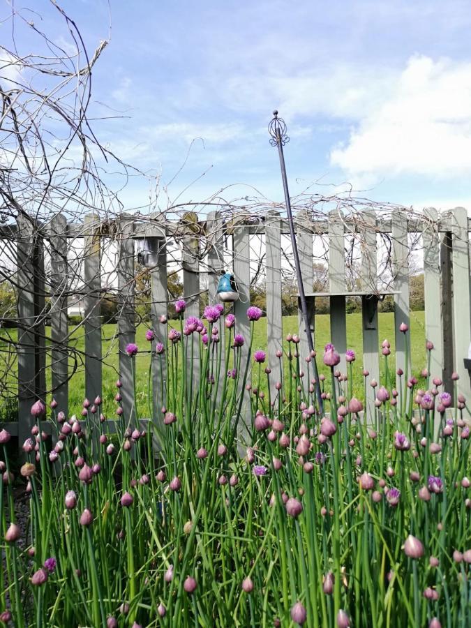 Applecroft House Bed & Breakfast 3*