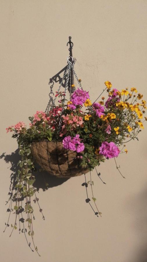 Applecroft House Bed & Breakfast Killarney