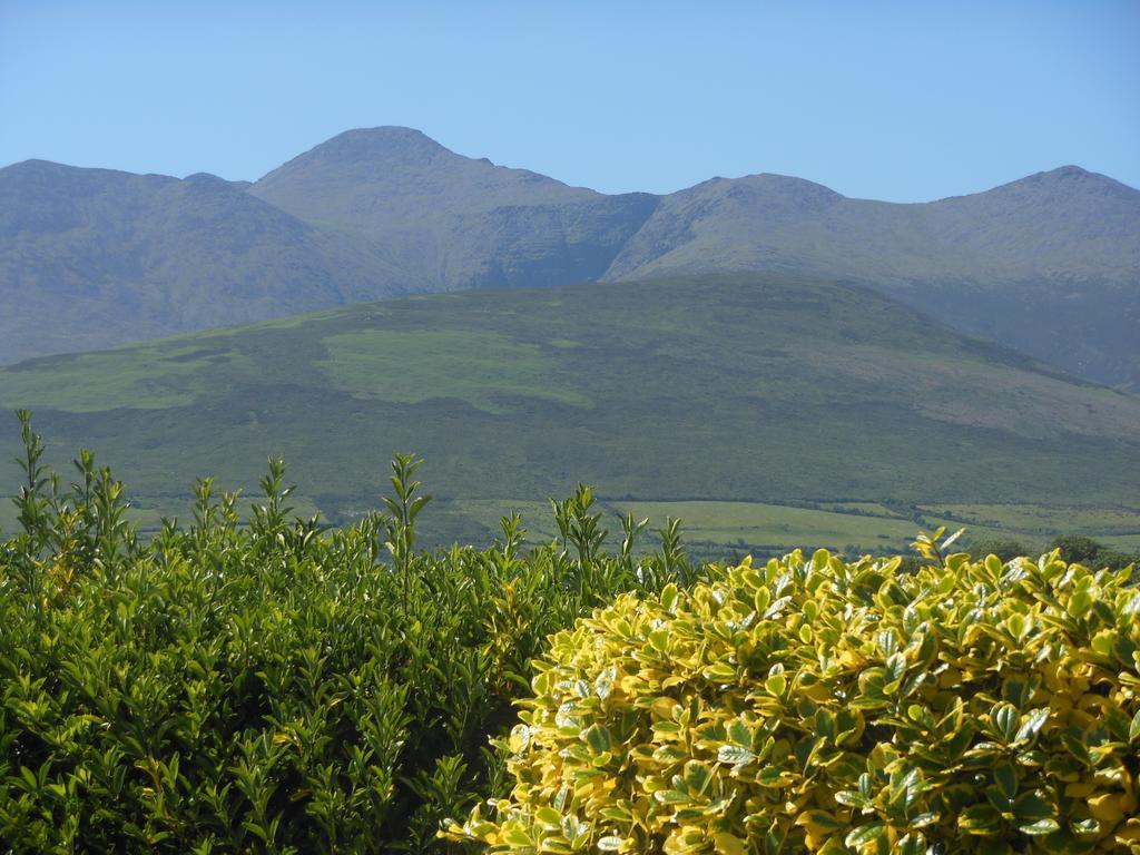 Kingdom View B&B 3* Killarney