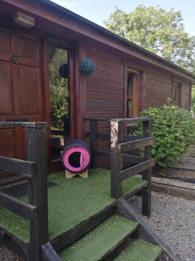 With Your Pet Chalet