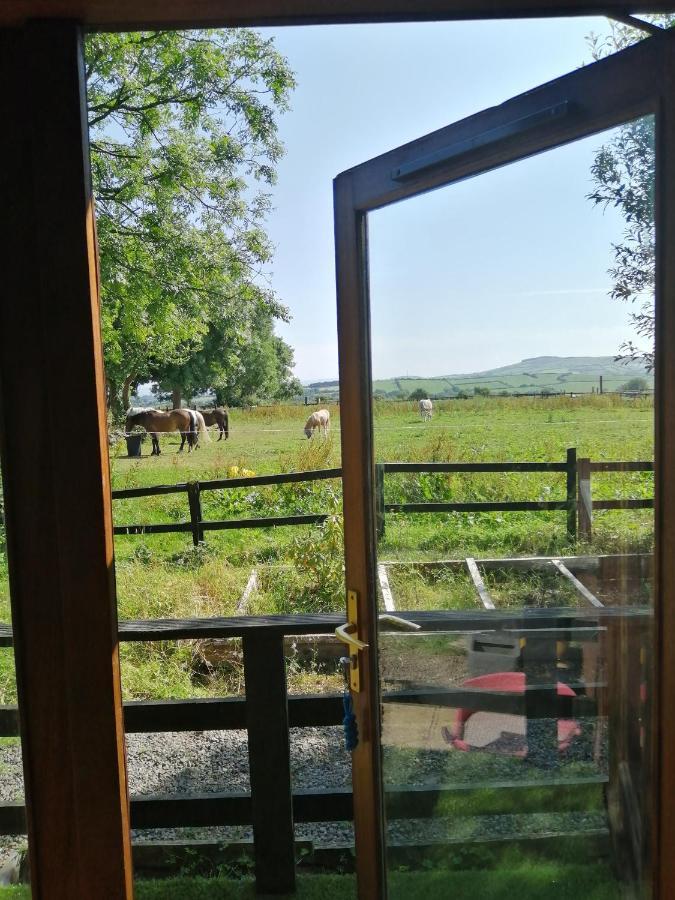 With Your Pet Chalet Killarney