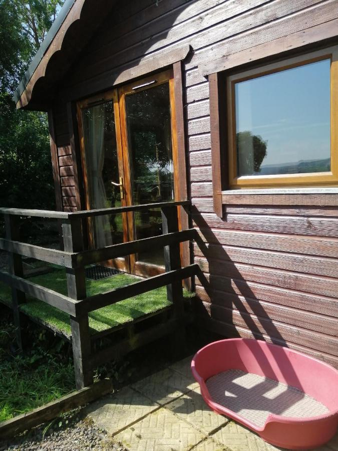 With Your Pet Chalet