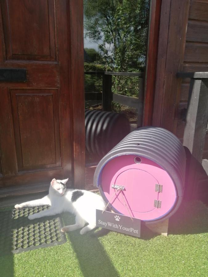 With Your Pet Chalet