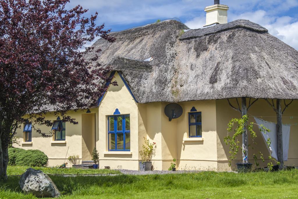Old Holiday home