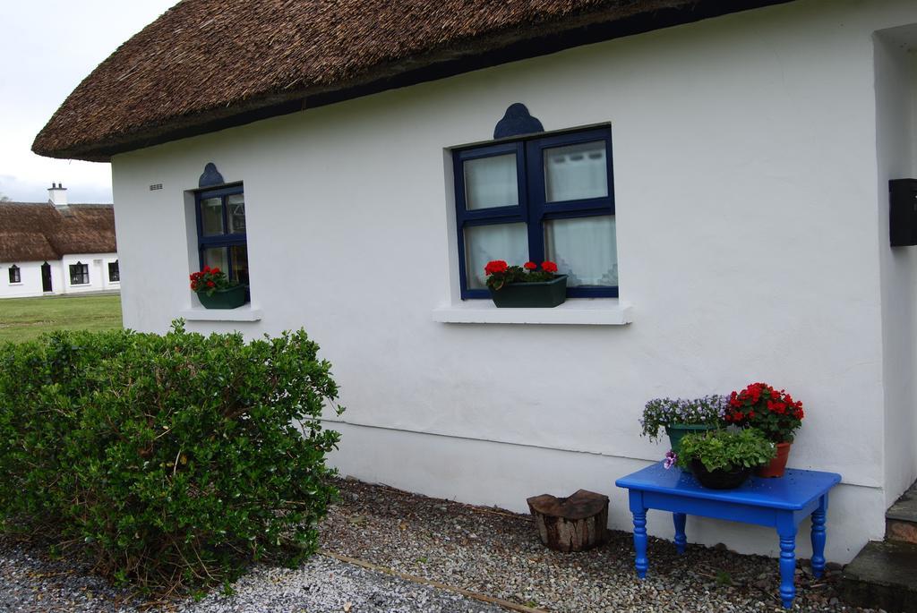 Holiday home Old Killarney