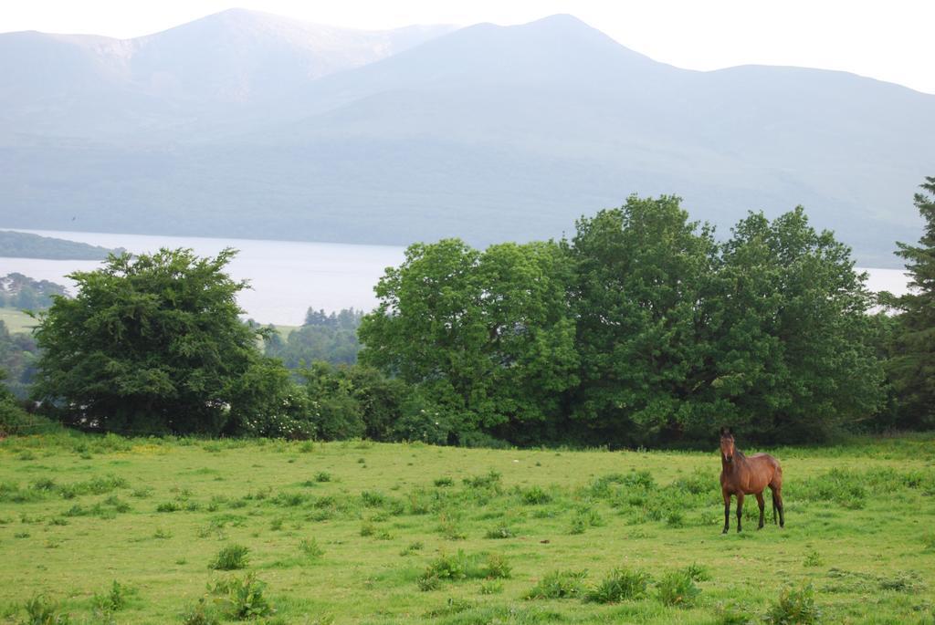 Holiday home Old Killarney