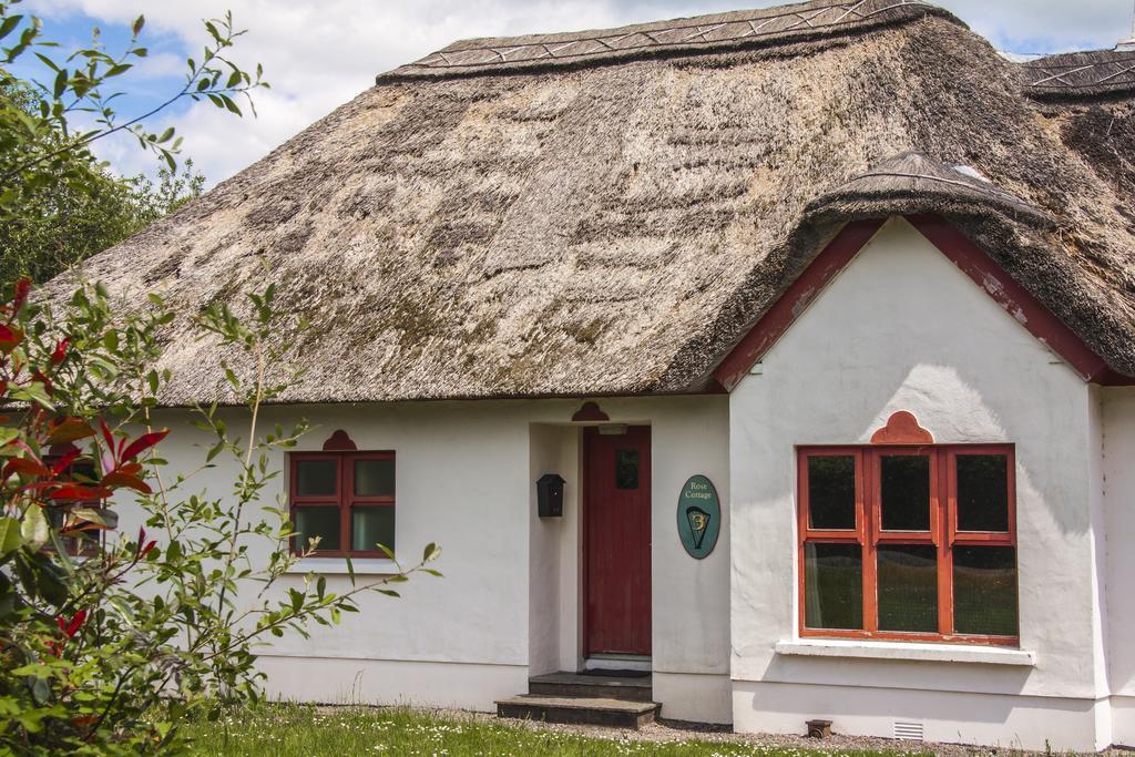 Old Holiday home Killarney