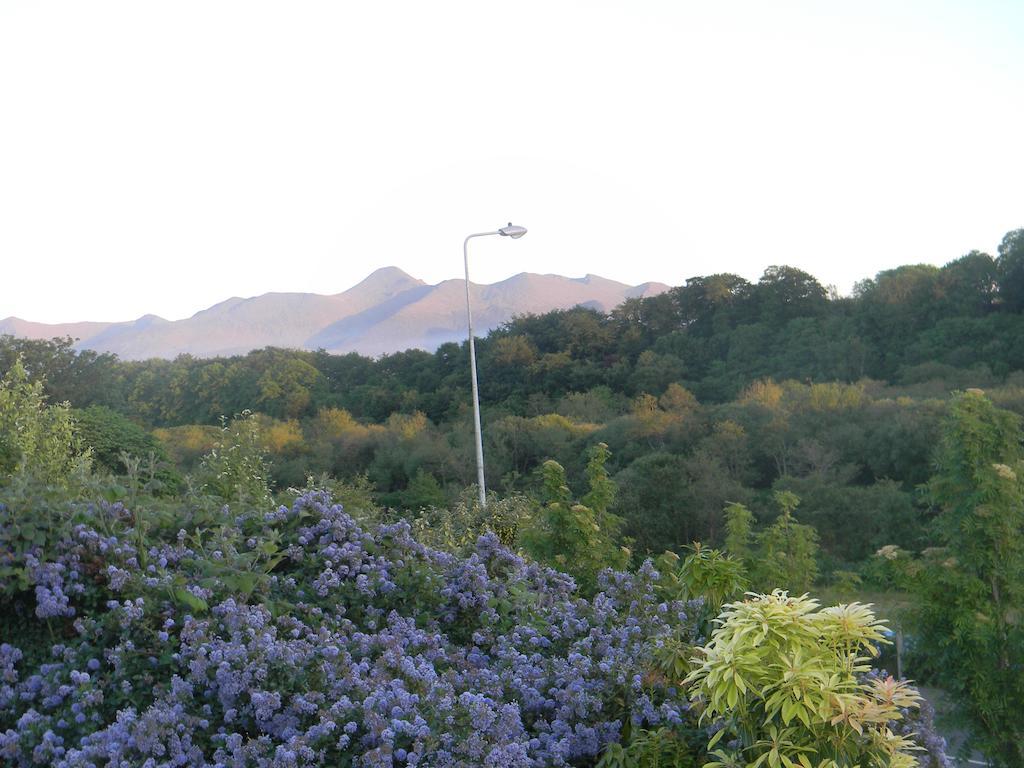 Bed & Breakfast Reeks 3*