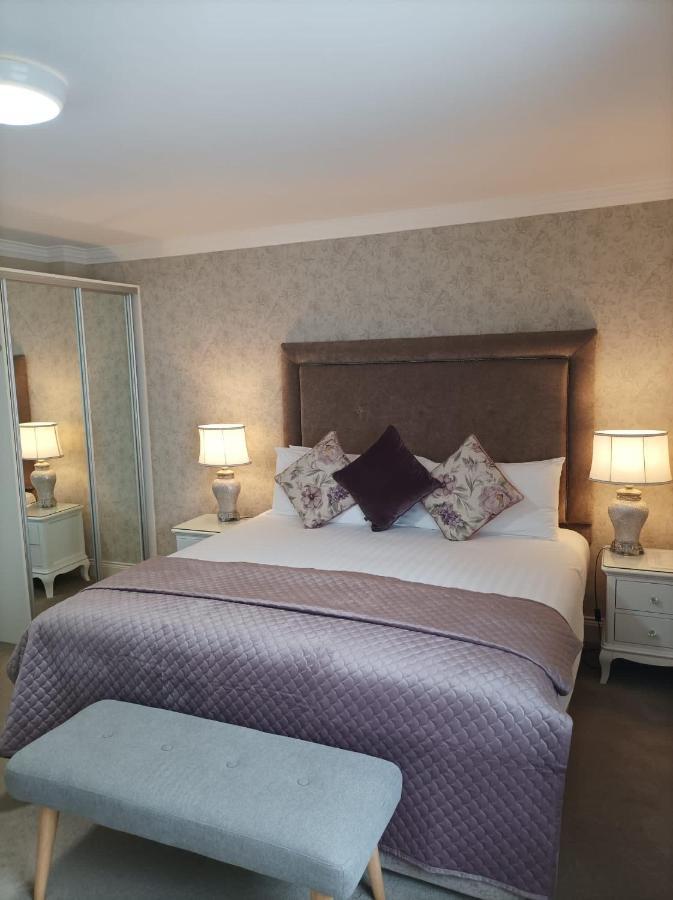 Kingfisher Killarney