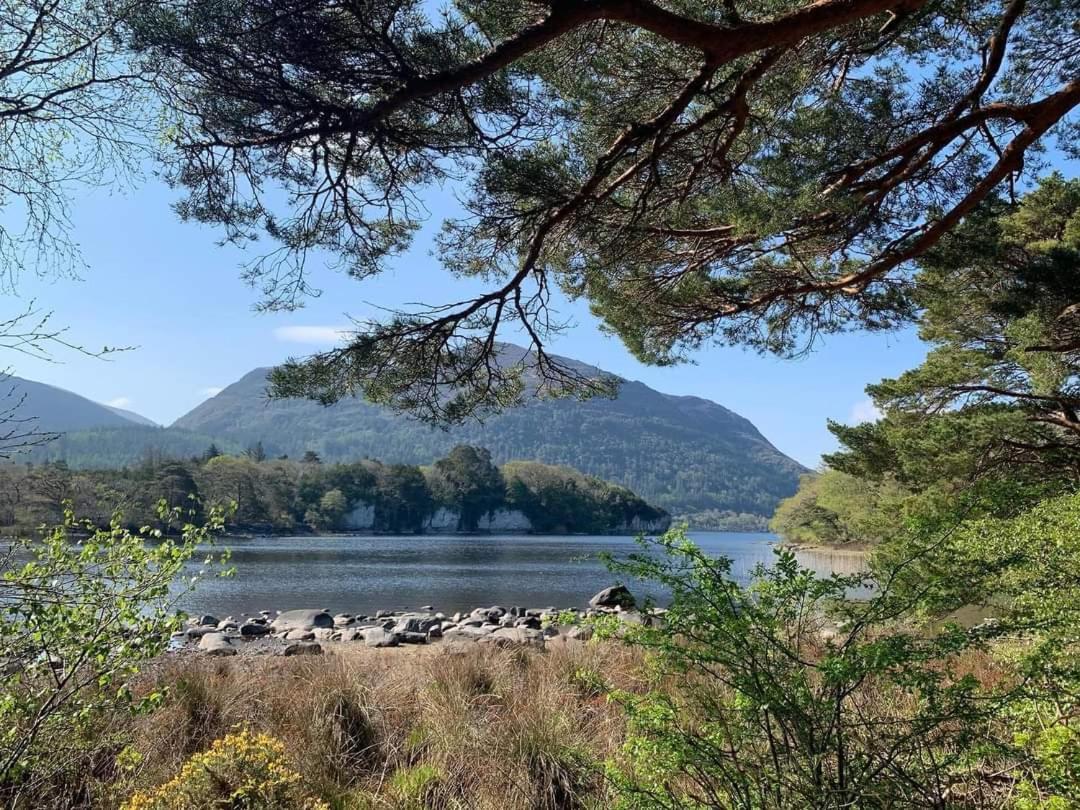 Green Acres Killarney