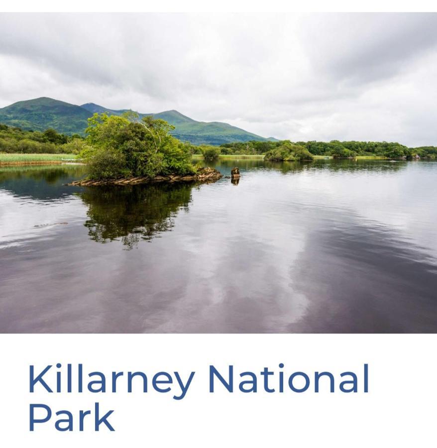 Green Haven V93p230 Killarney