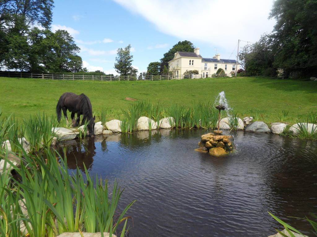 Carriglea House