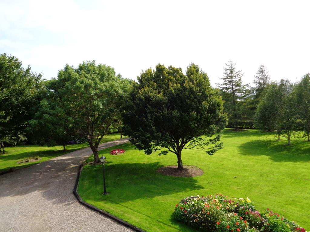 Redwood Bed & Breakfast Killarney