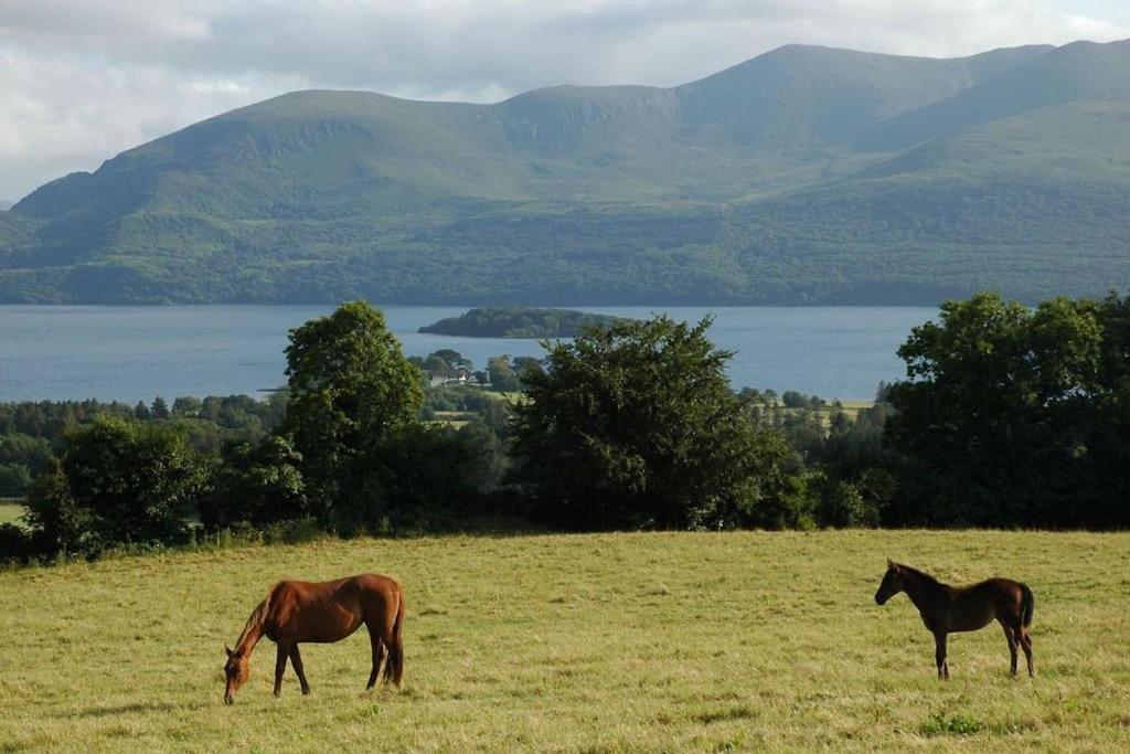 , Ring Of Kerry 2 Bed 2 Bathrooms Apartment