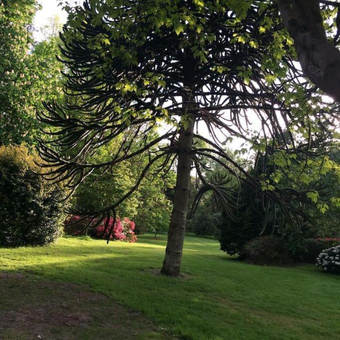 , Ring Of Kerry 2 Bed 2 Bathrooms Apartment *