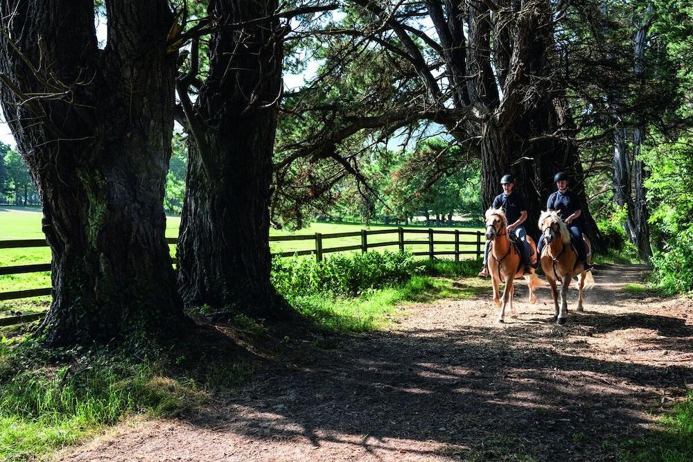 The Dunloe & Gardens 5* Beaufort
