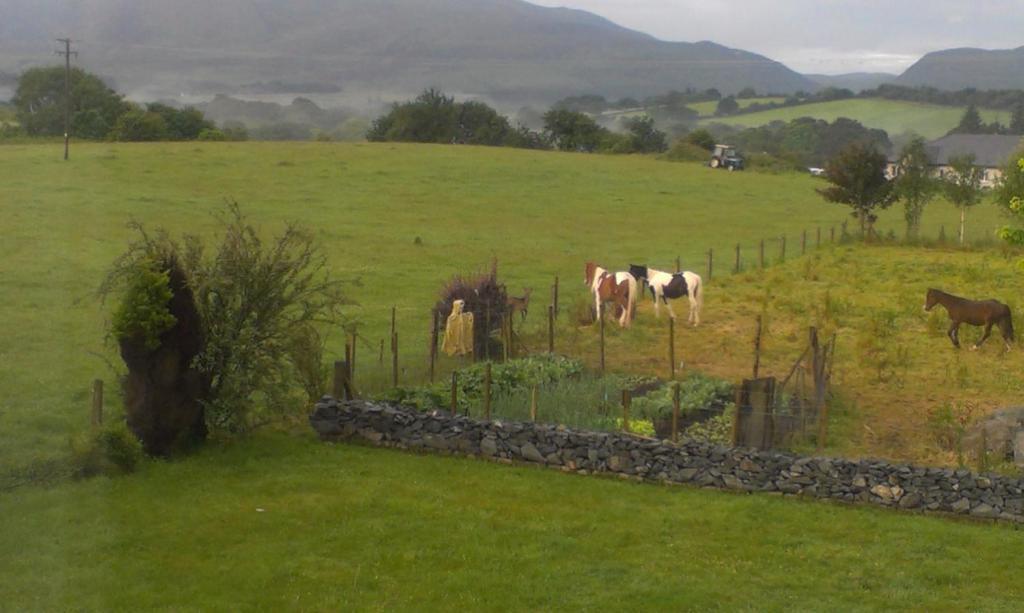 Bed & Breakfast Dunn Court House 3*