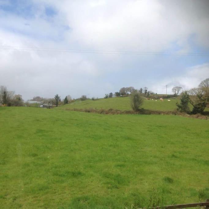 Farm House. * Killarney
