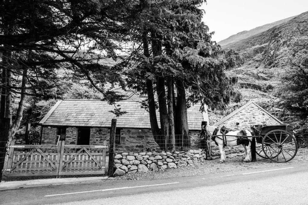 Gap Of Dunloe Shepherd's Killarney
