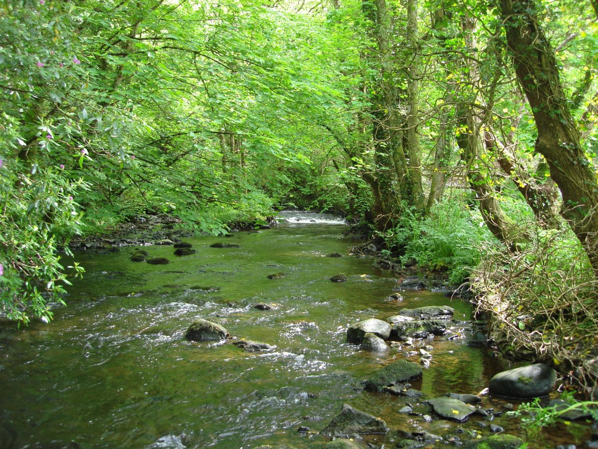 Gleann Fia Killarney