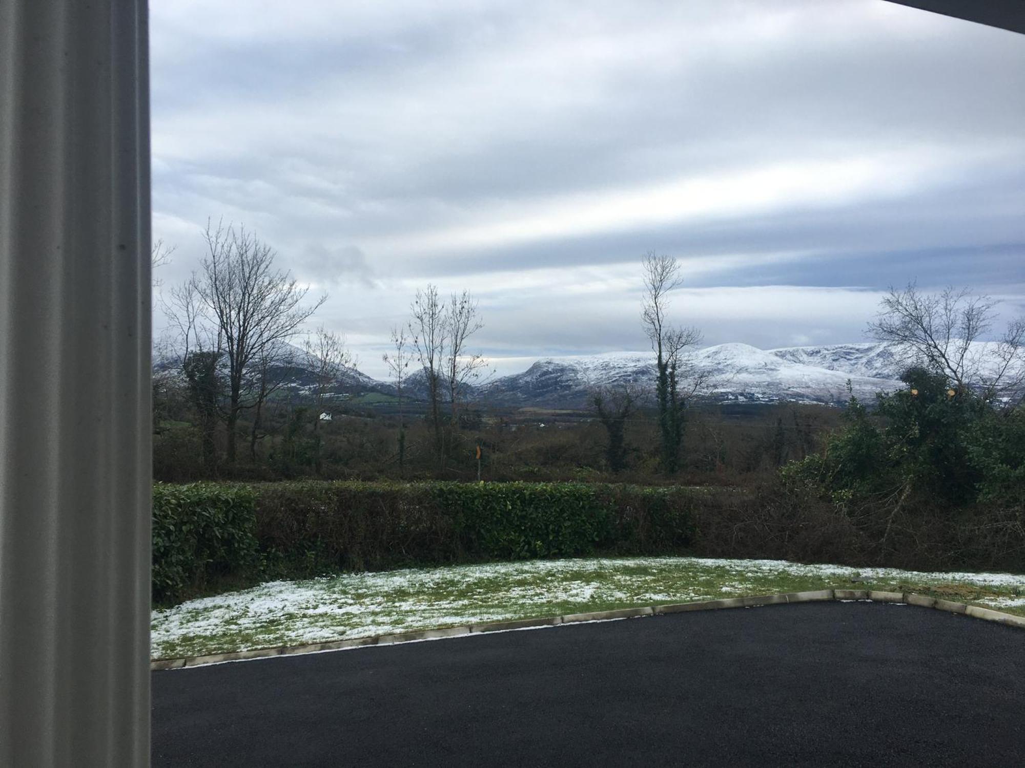 Laurel Killarney