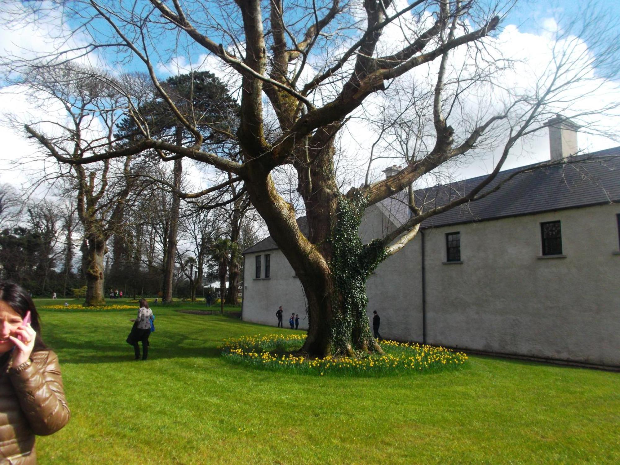 Kerry Homes At The Village