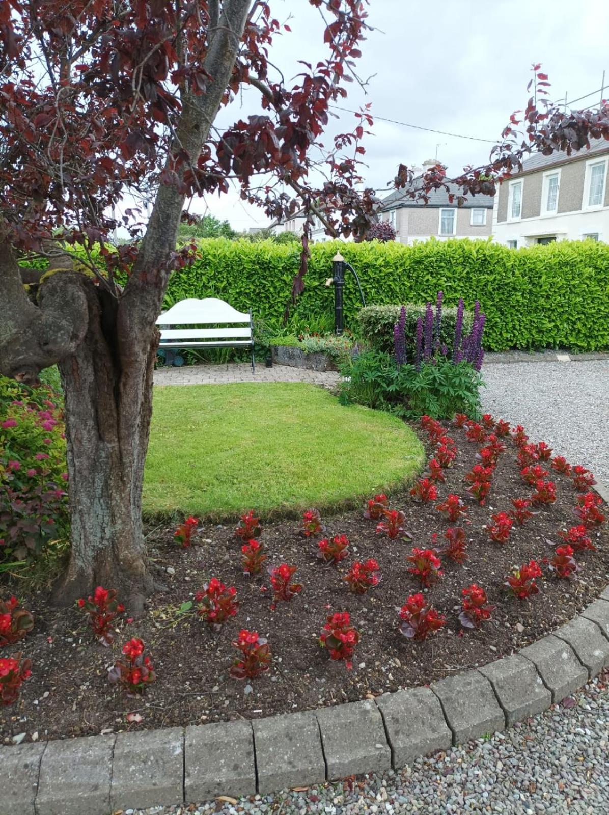 Kingfisher Lodge Killarney