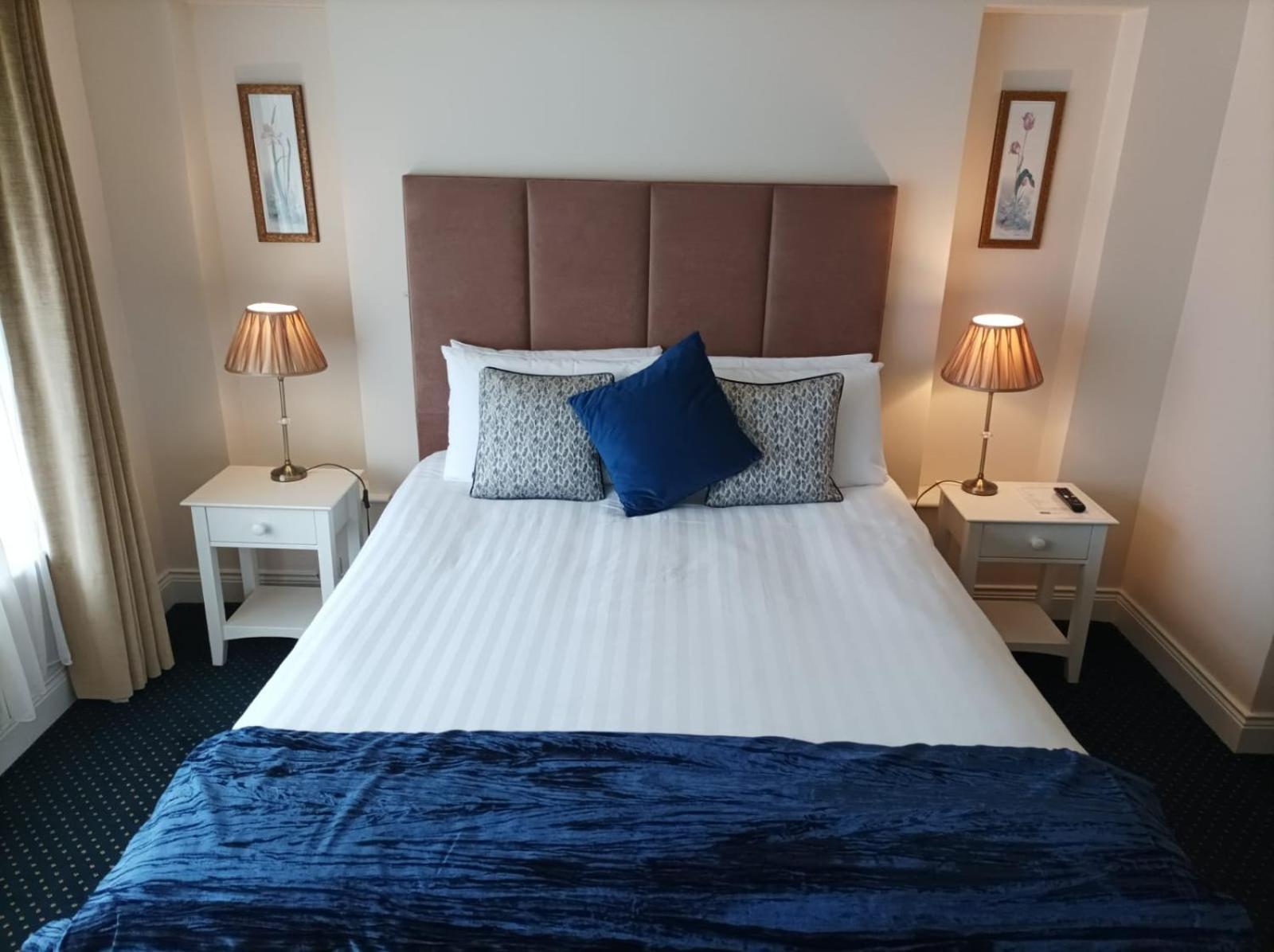 Kingfisher Killarney