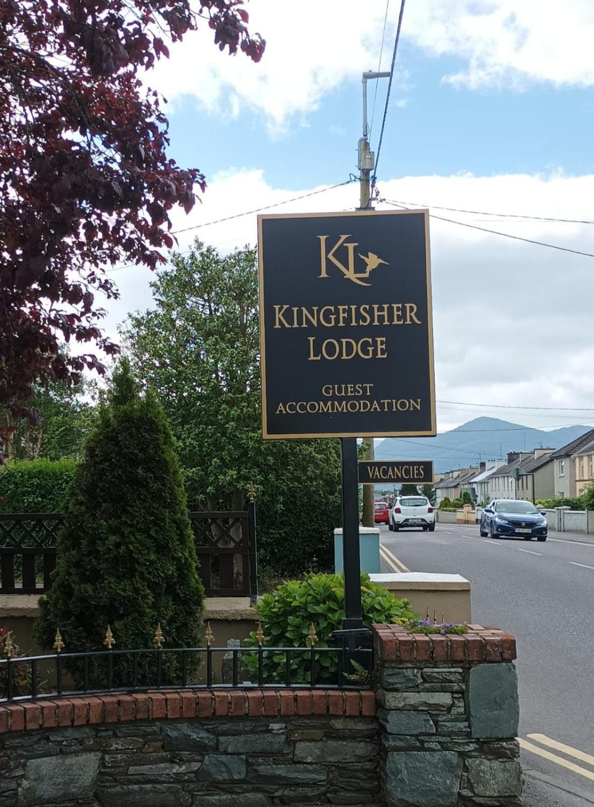 Kingfisher Killarney